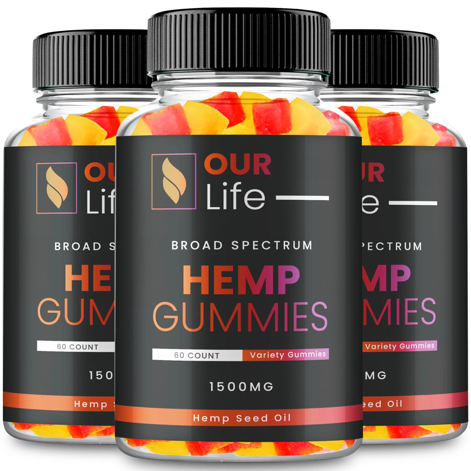 Our Life Gummies - Official Formula (3 Pack)