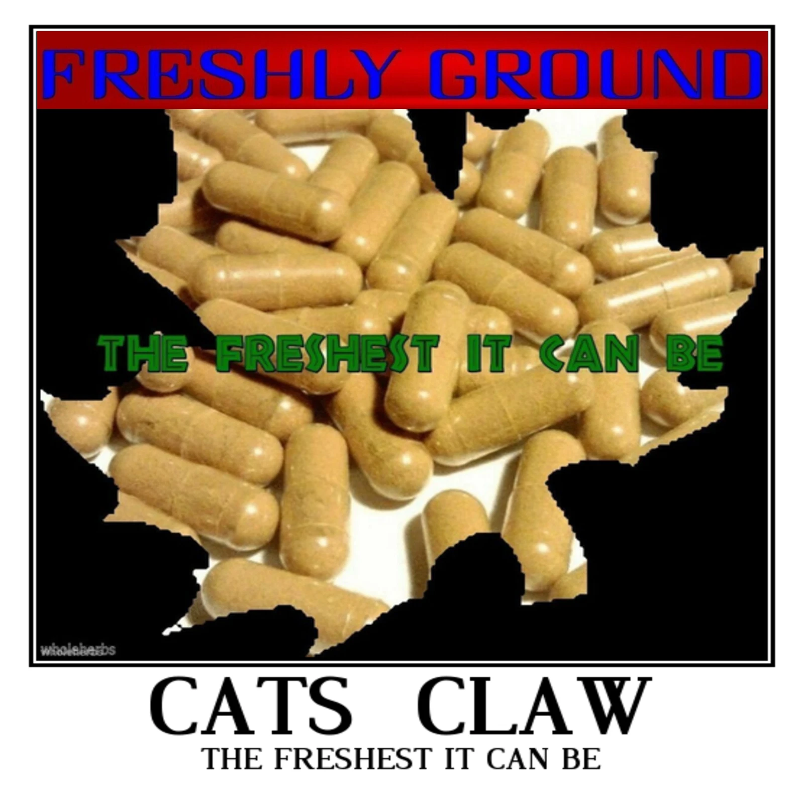 CATS CLAW The Freshest It Can Be Fresh Ground 100 Vegetarian Capsules 500 mg