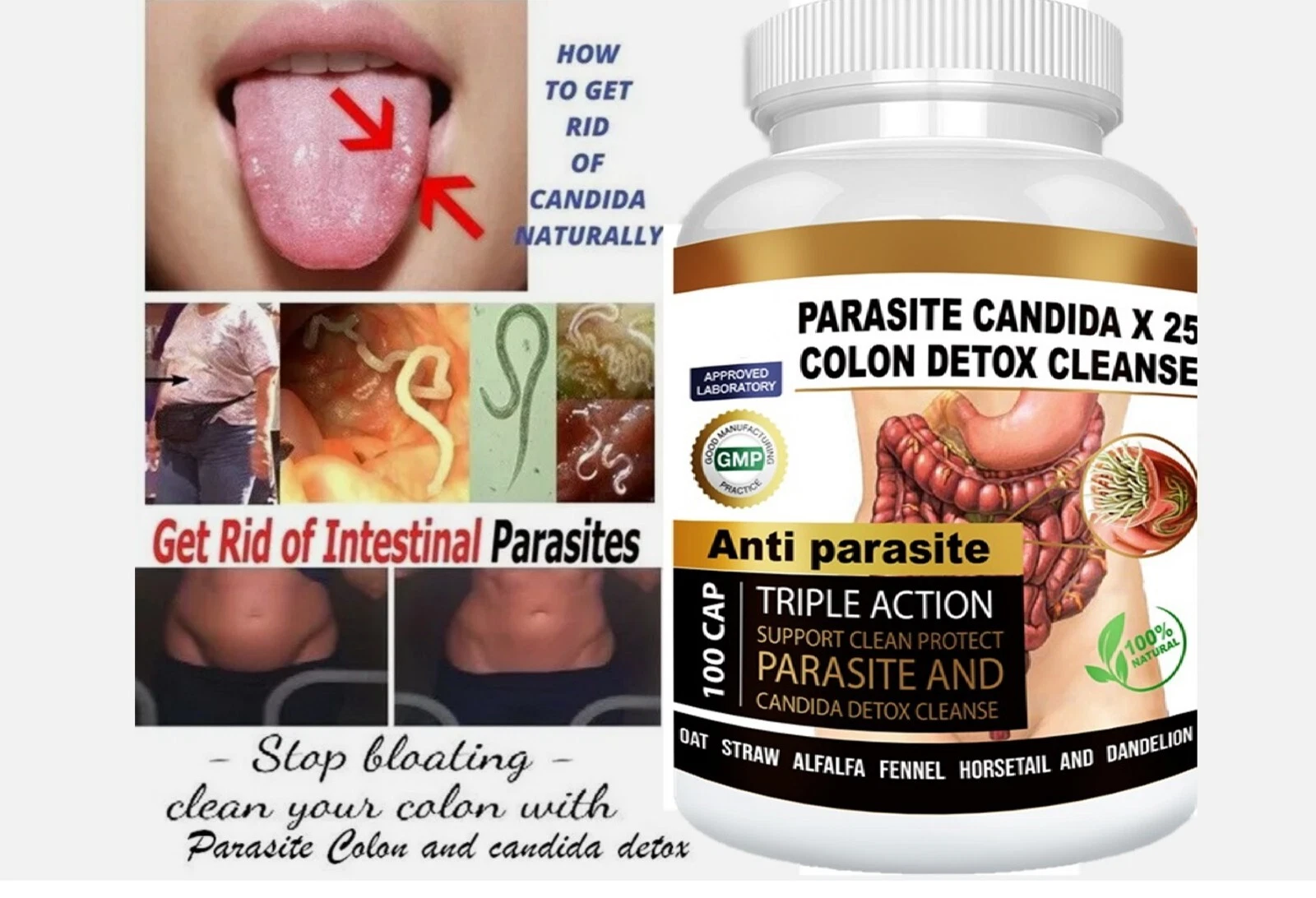 Parasite Detox Cleanse Candida Support Colon Health 100 Caps Natural Formula