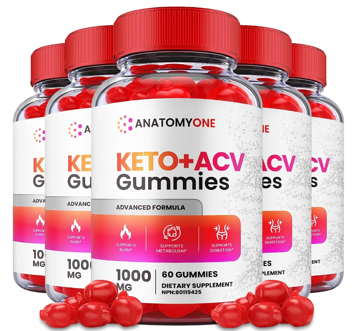(5 PACK) Anatomy One ACV Gummies: Weight Loss Supplement