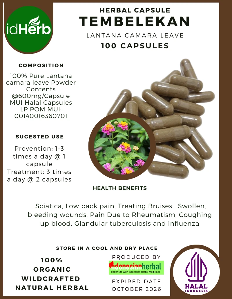[idHerb] 100-1000 CAPSULES TEMBELEKAN Lantana Camara Leave NATURAL HERBAL