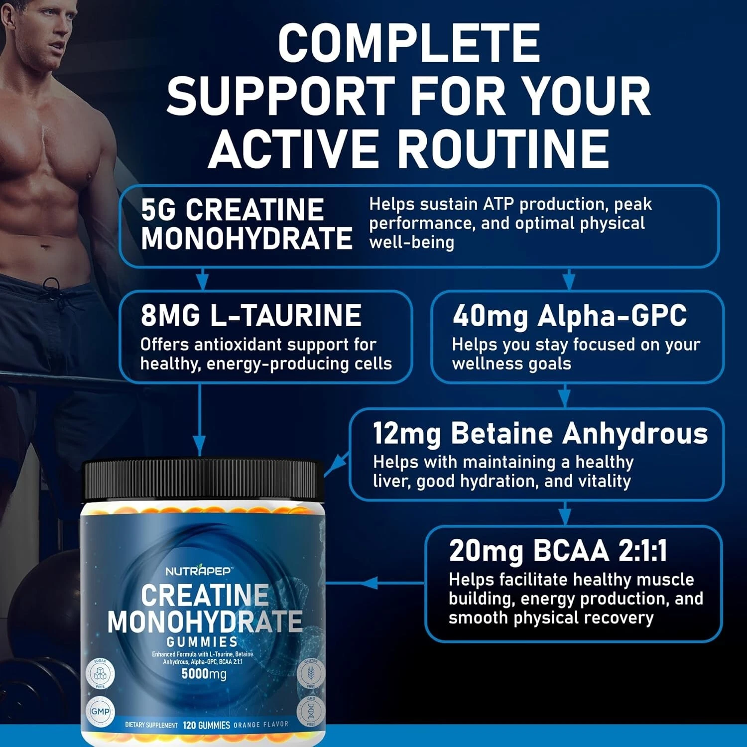 Creatine Monohydrate 5g Gummies with Vitamin B12 & Bacopa Monnieri - 120 Gummies