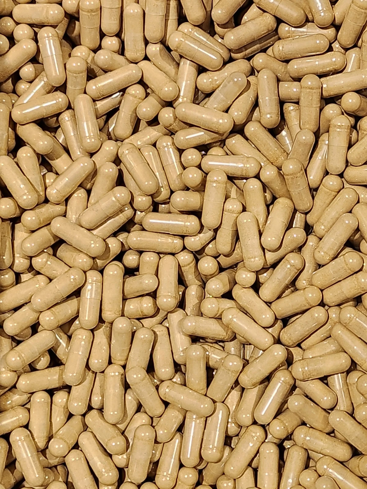 Burdock Capsules - Bulk