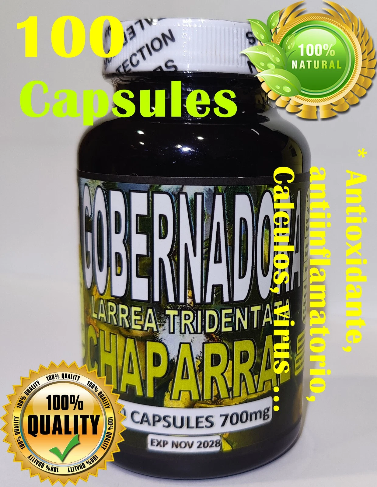 Gobernadora Larrea tridentata Chaparral leaf Natural organic 100 Capsules