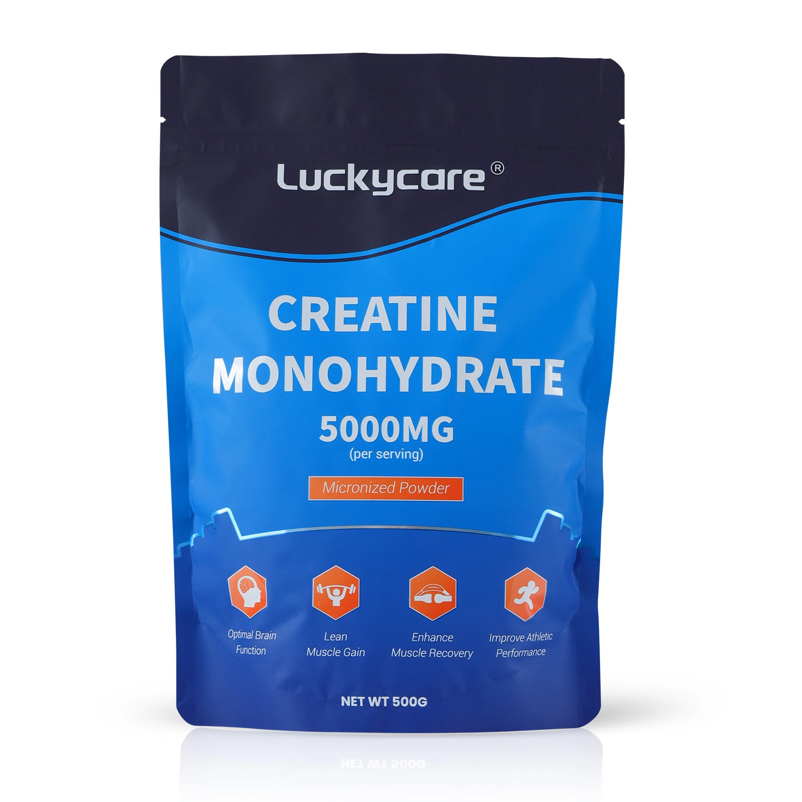 BulkSupplements Creatine Monohydrate Powder for Bodybuilding