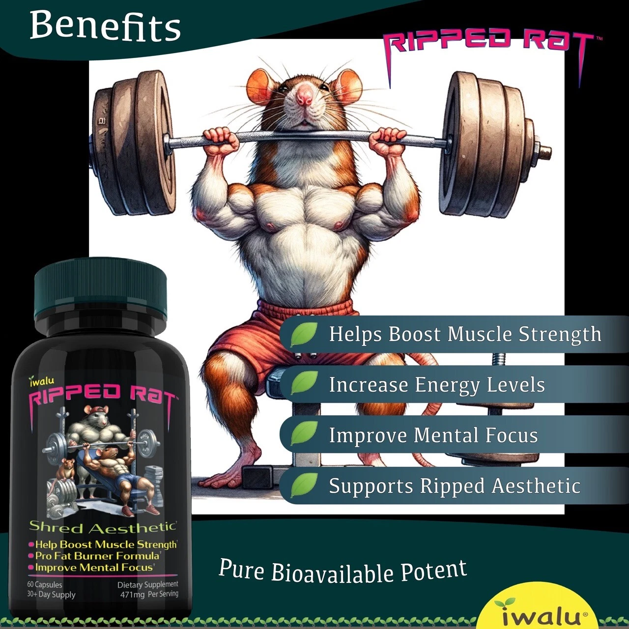 Best Protein Powder - Men: Fuel Muscle Growth & Recovery Effectively, Shreds Fat