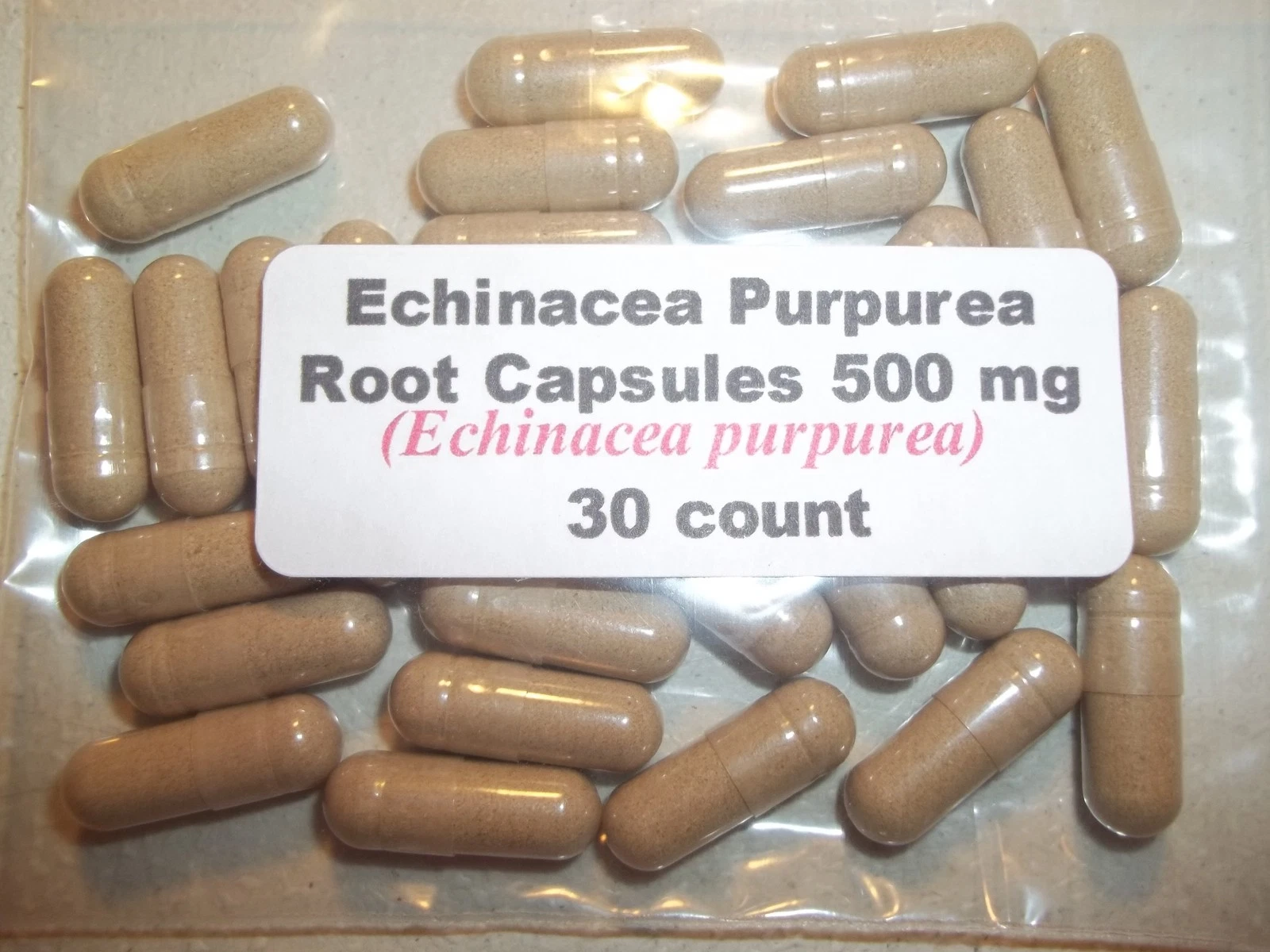 Echinacea Purpurea Root Powder Capsules (Echinacea purpurea) 500 mg - 30 count