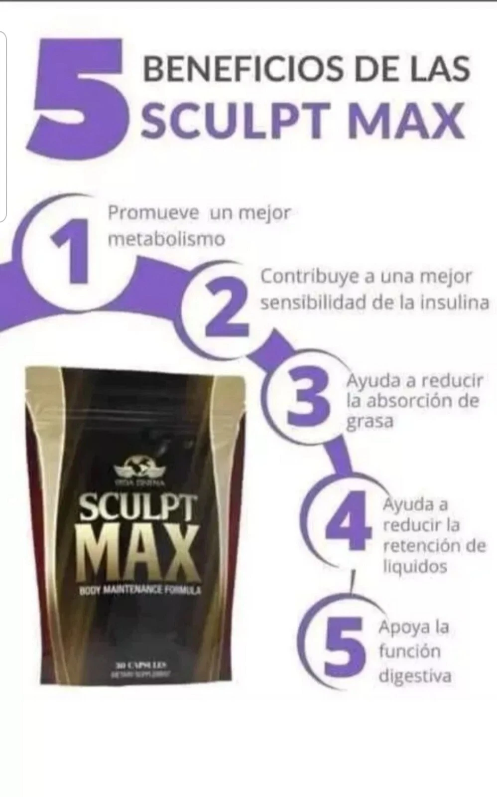 Vida Divina Sculpt Max