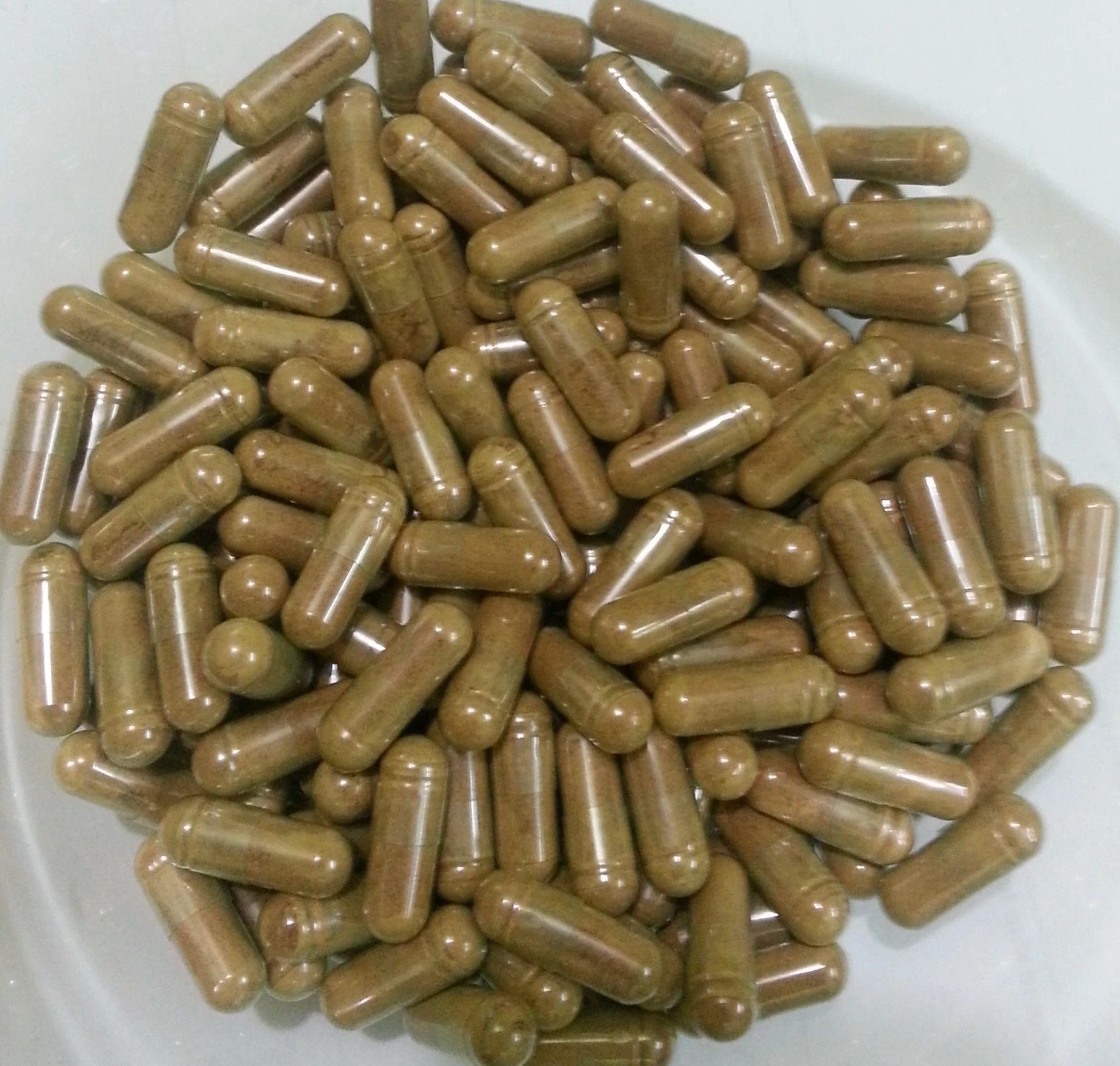 Safed Musli (CHLOROPHYTUM BORIVILIANUM) Extract Capsules 50% Saponins