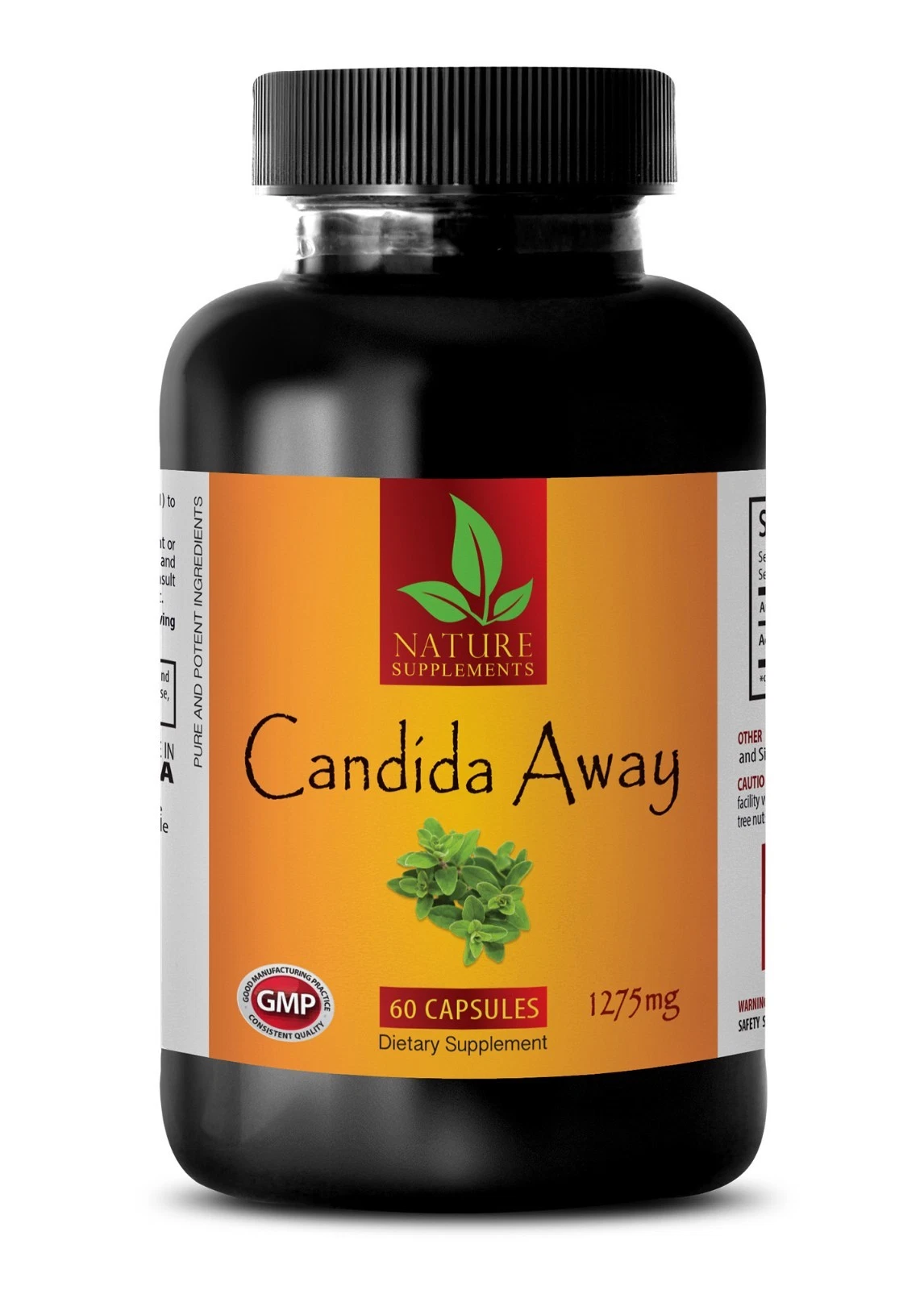 fat burner diet - CANDIDA AWAY 1275mg 1B - reishi mushroom organic