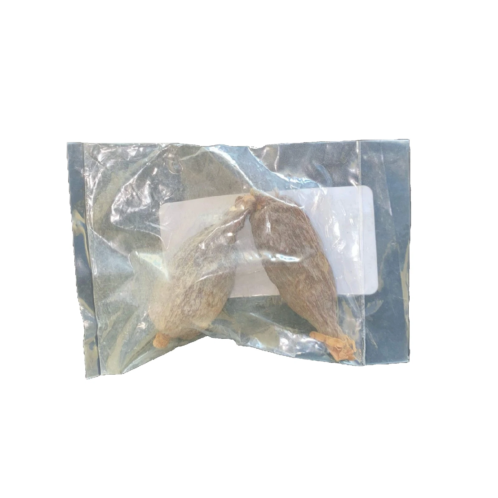 African Alligator Pepper 3 Pods - pack of 4