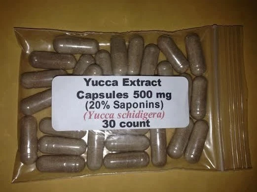 Yucca Root Extract Capsules (Yucca schidigera) (20% Saponins) 500 mg - 30 count