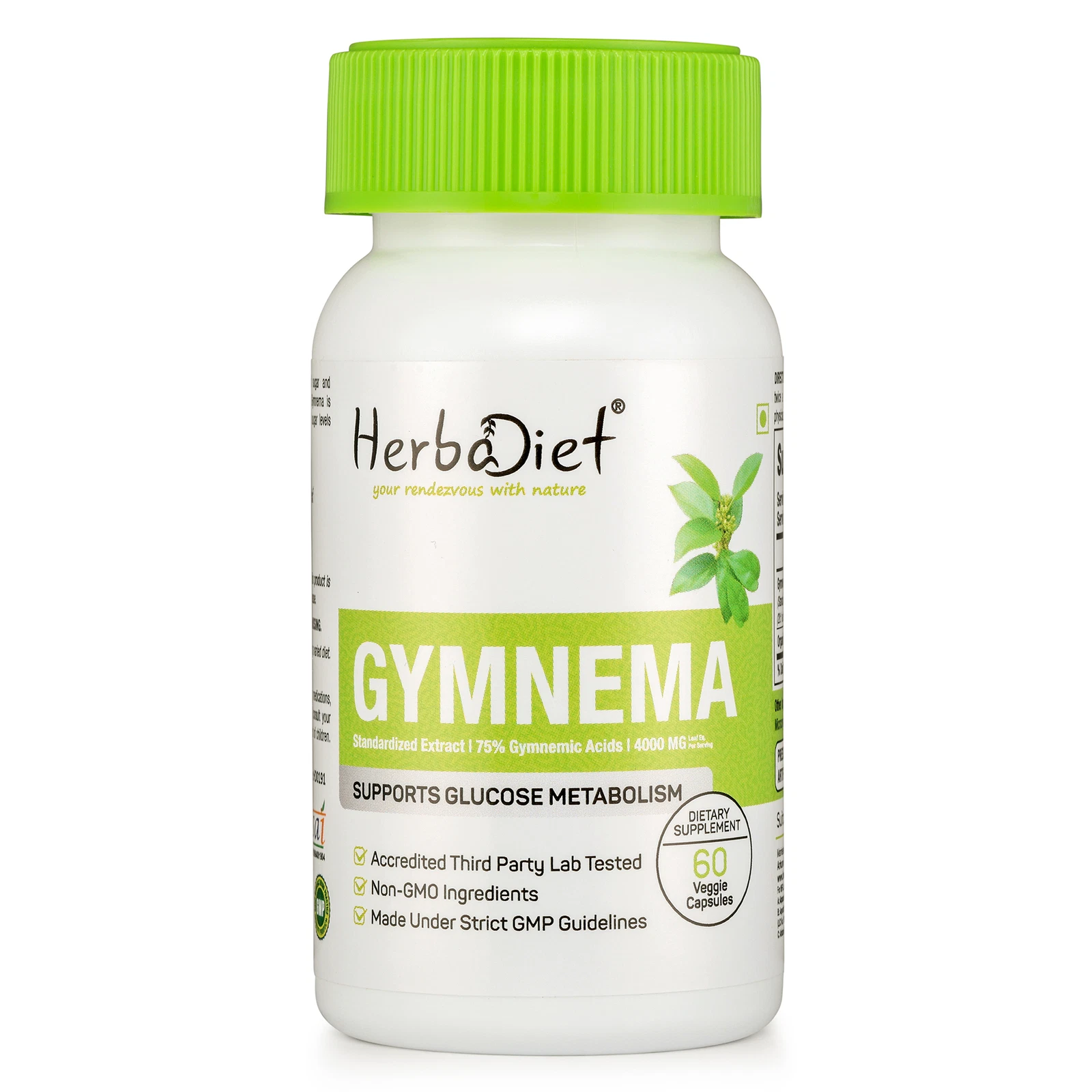 Gymnema Sylvestre Extract Capsules Blood Sugar Control Weight Loss Herbal Remedy