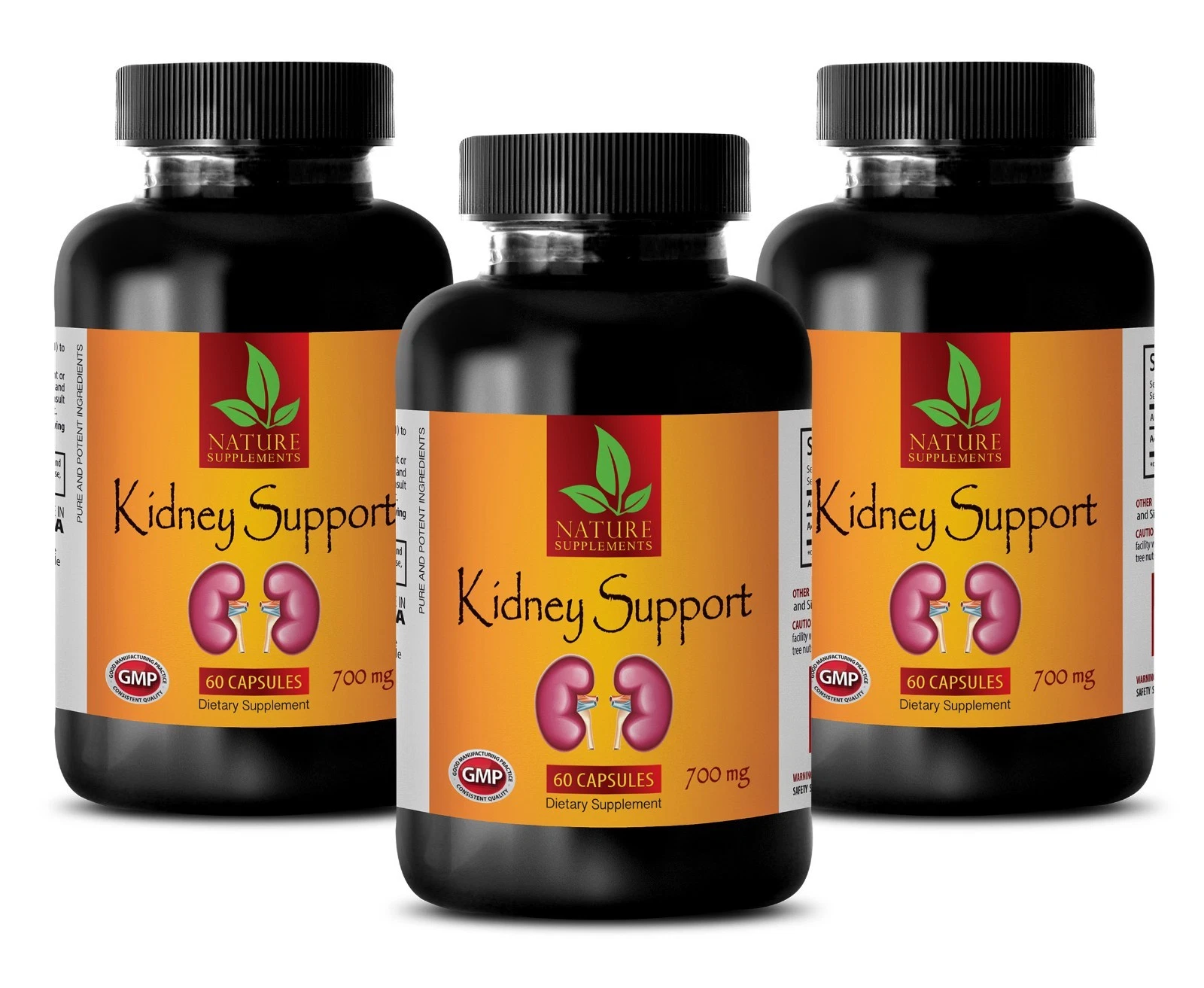 Horsetail Plant - KIDNEY SUPPORT 700mg - Boost The Immune System 3B