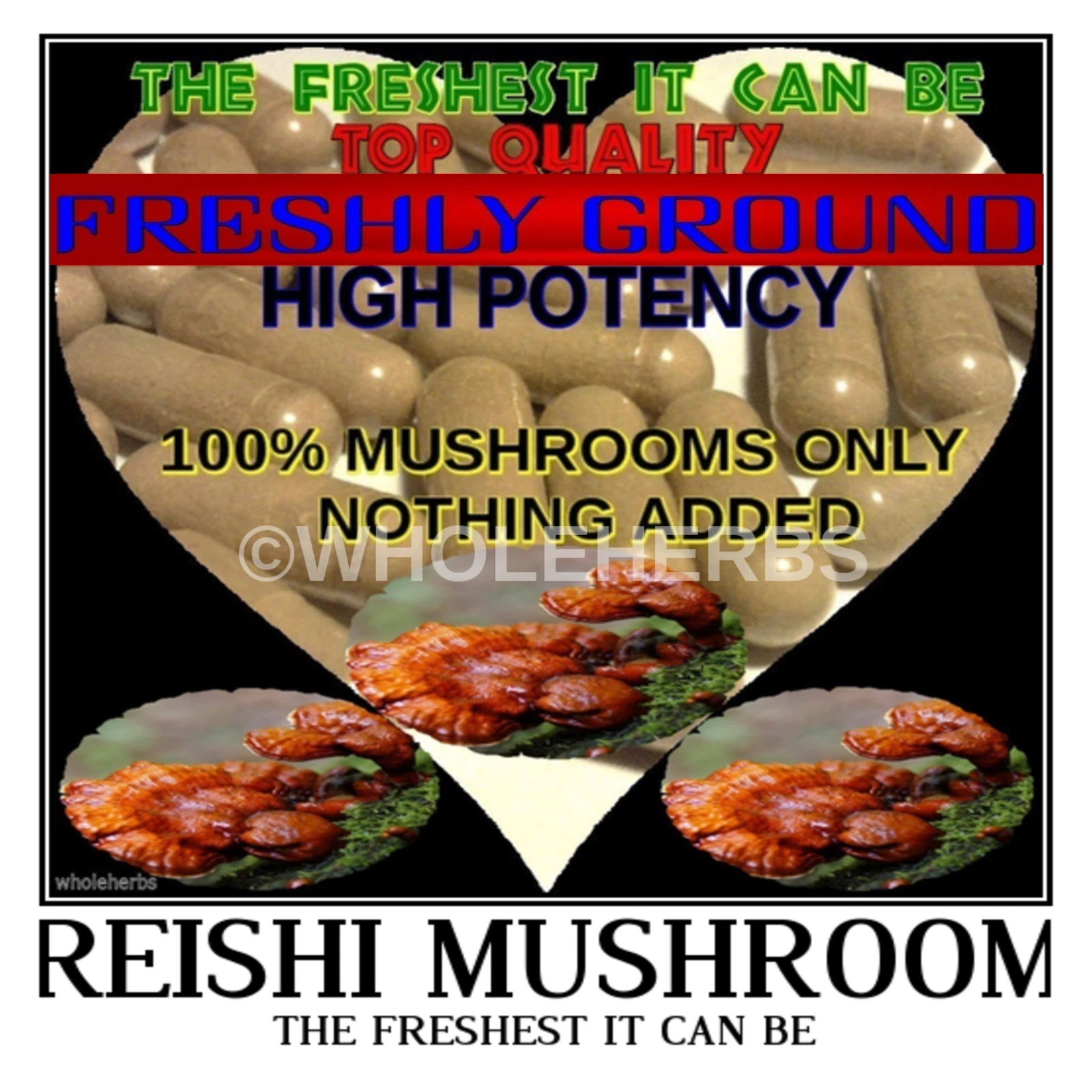 REISHI RED MUSHROOM Ganoderma Lucidum Health Benefits 100 Vegetarian Capsule