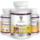 Berberine HCl 500mg Premium - 120 capsules - 2 Month Supply