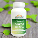 Ginkgo Biloba Leaf Capsules (500mg Each)