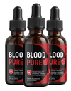 (3 Pack) Blood Pure Drops, BloodPure Advanced Blood Health Support Droppers