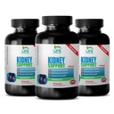 kidney health formula, PREMIUM KIDNEY SUPPORT 700mg 3B, antioxidant fruit blend