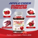 Apple Cider Vinegar Gummies, The best Weight Loss & Appetite Suppressant