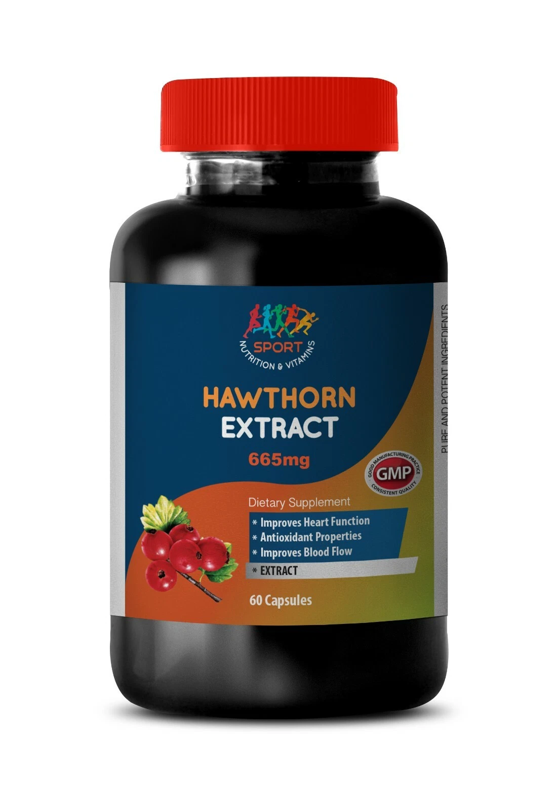 lower blood pressure - HAWTHORN EXTRACT 665MG - health 1 Bottle 60 Capsules