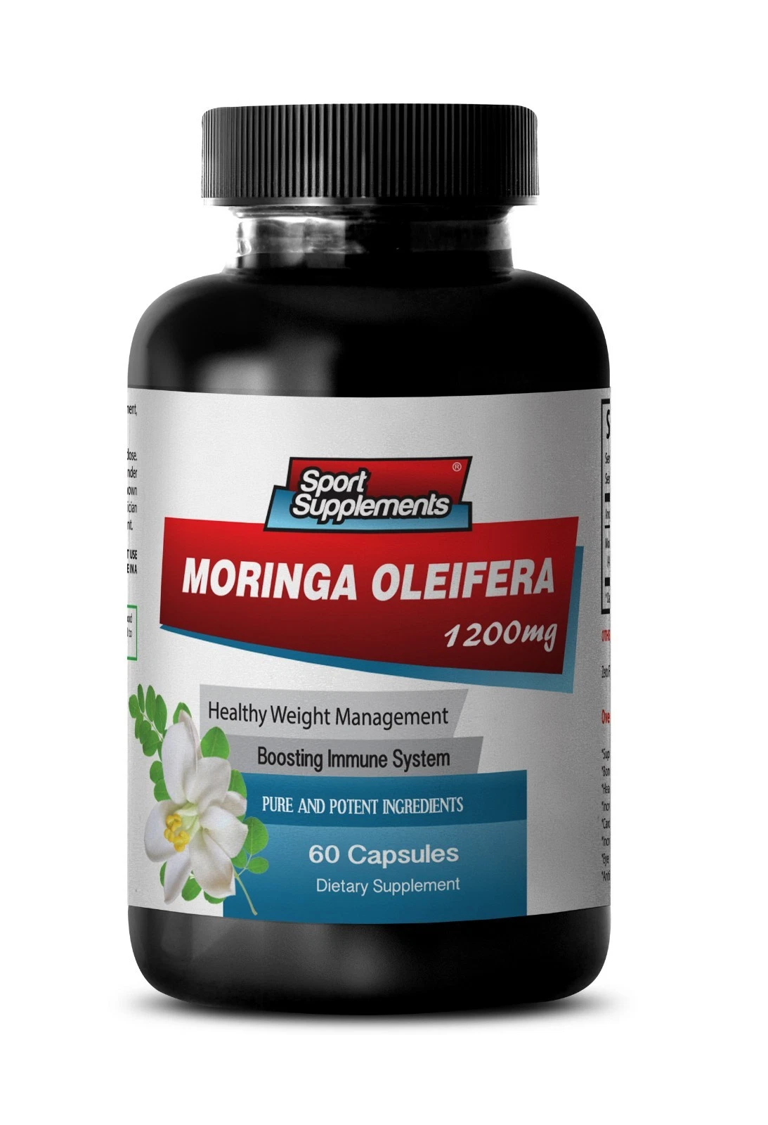 Moringa Oleifera Powder - Moringa Oleifera Extract 1200mg - Fat Burner 1 Bottle