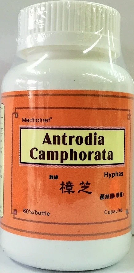 Antrodia Camphorate Hyphas (60 Capsules) from Meditalent