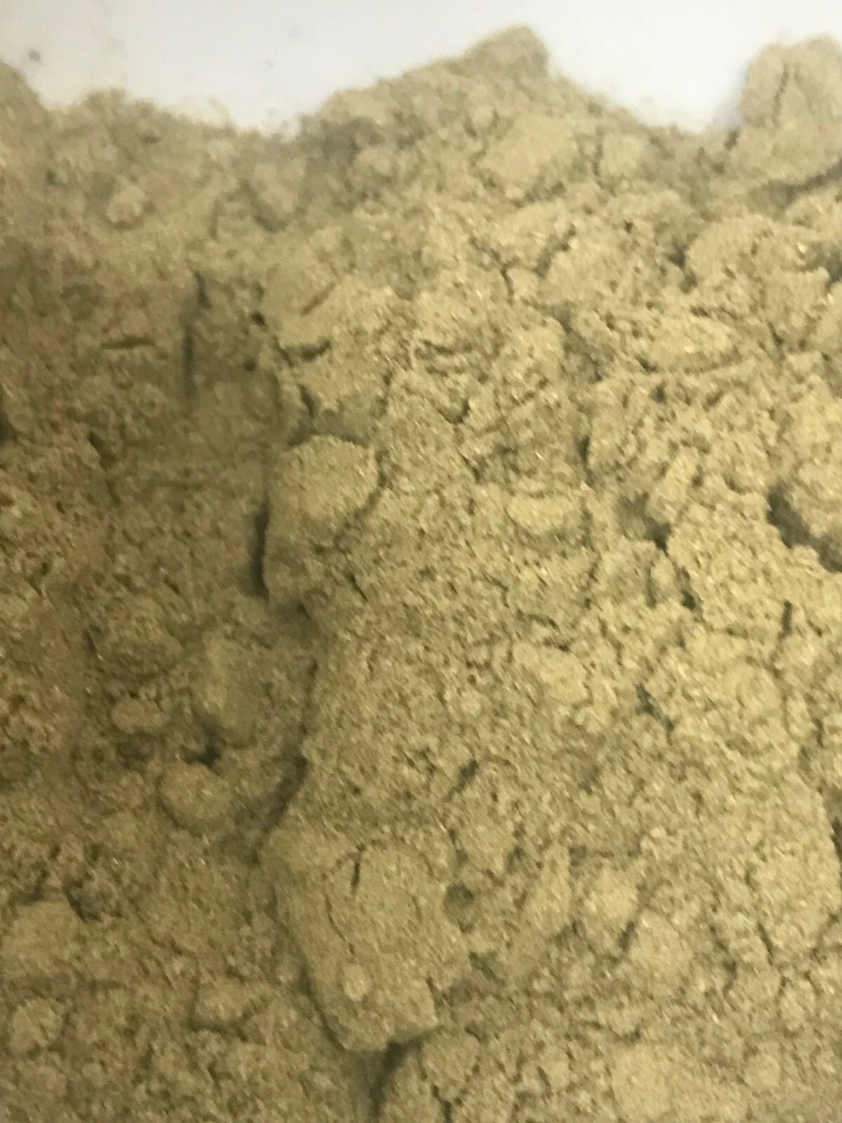 Hops Flower Organic Powder-100gm-AUSSIE HERBALIST SELLER