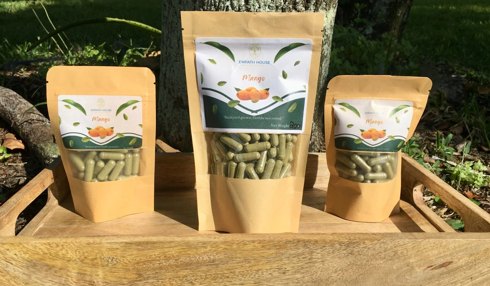 FRESHLY HARVESTED Mango Leaf Capsule Size "0" 500mg 100% Organic Herbal Florida