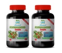 metabolism boosting supplement Ashwagandha Complex 770MG stress away vitamin 2B