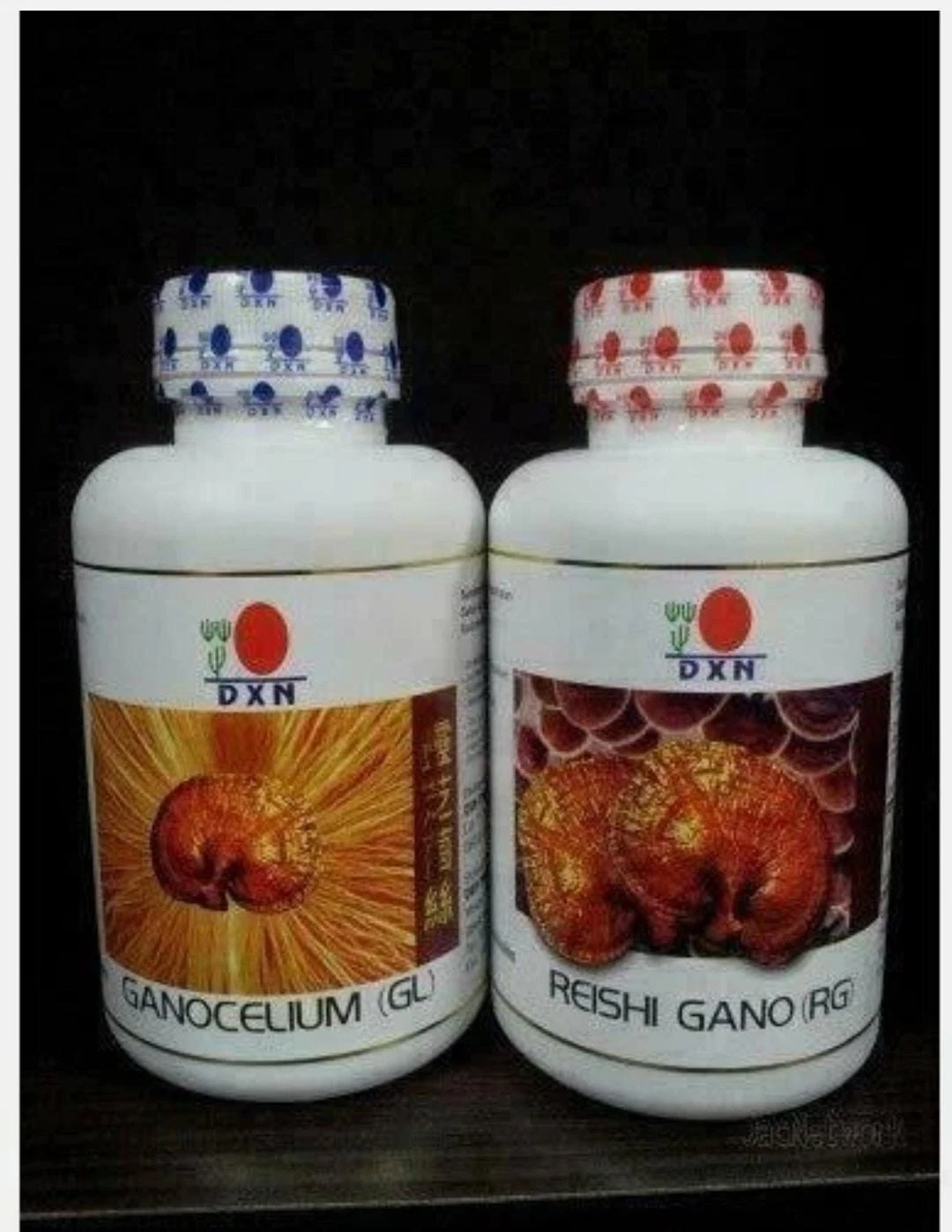 DXN Reishi Gano And Ganocelium Capsules - Rg & Gl (360 + 360 Capsules)