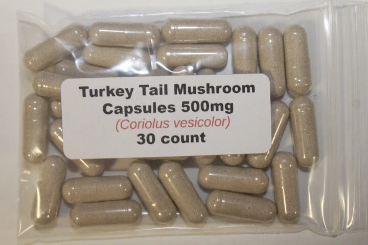 30 count Turkey Tail Mushroom Powder Capsules (Coriolus vesicolor) 500mg each