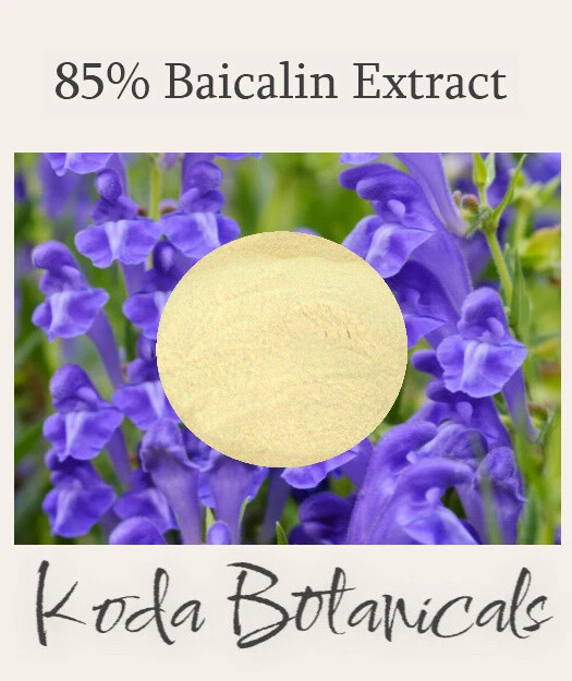 BAIKAL SKULLCAP 85% baicalin EXTRACT POWDER Scutellaria baicalensis