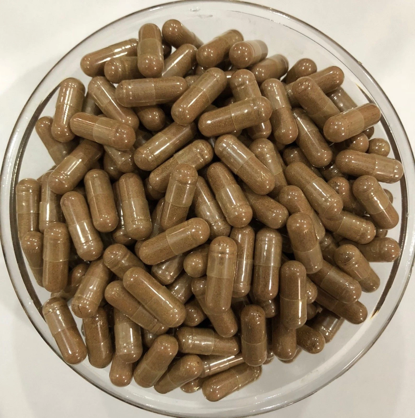 Herbal Remedy for Spider Veins Varicose Veins Horse chestnut Butchers Broom